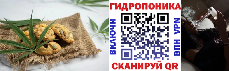 цена   ОМГ ОМГ ONION  Печенье с ТГК конопля  Никольское 