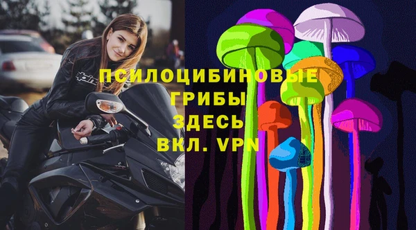 МДПВ Абинск